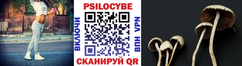 Галлюциногенные грибы Psilocybe  Миньяр 
