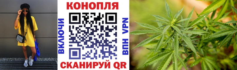 Шишки марихуана гибрид MEGA Миньяр