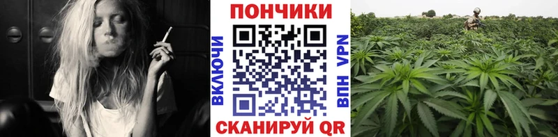 Каннабис семена Миньяр